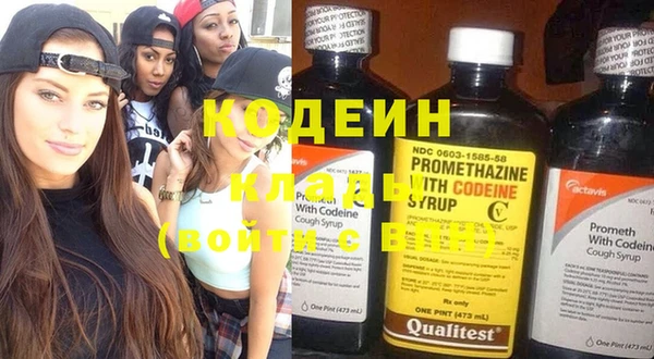 хмурый Алзамай