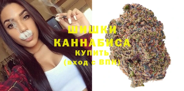 крисы Магас